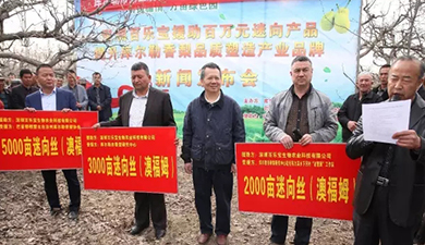 【一份援疆情，萬畝綠色園】 澳福姆迷向絲助力庫爾勒香梨產(chǎn)業(yè)升級